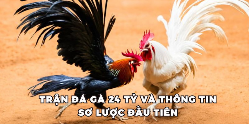 Trận đá gà 24 tỷ và thông tin sơ lược đầu tiên