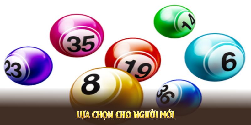 Lý do cách tạo dàn đề trở thành lựa chọn cho người mới